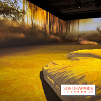 Cité Immersive Viking  - IMG 5335