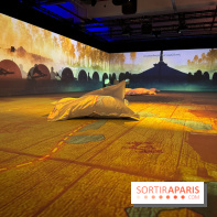 Cité Immersive Viking