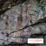 Randonnée à Fontainebleau : le sentier sur les pas de Denecourt jusqu’à la Tour Denecourt -  A7C7559