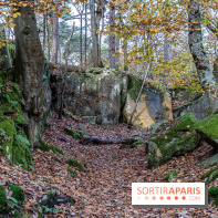 Randonnée à Fontainebleau : le sentier sur les pas de Denecourt jusqu’à la Tour Denecourt