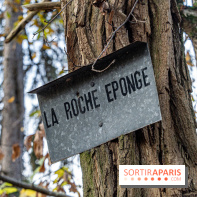 Randonnée à Fontainebleau : le sentier sur les pas de Denecourt jusqu’à la Tour Denecourt -  A7C7572