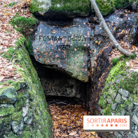 Randonnée à Fontainebleau : le sentier sur les pas de Denecourt jusqu’à la Tour Denecourt -  A7C7580