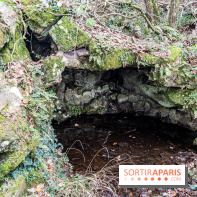 Randonnée à Fontainebleau : le sentier sur les pas de Denecourt jusqu’à la Tour Denecourt -  A7C7587