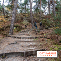 Randonnée à Fontainebleau : le sentier sur les pas de Denecourt jusqu’à la Tour Denecourt