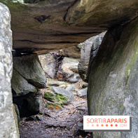 Randonnée à Fontainebleau : le sentier sur les pas de Denecourt jusqu’à la Tour Denecourt -  A7C7597
