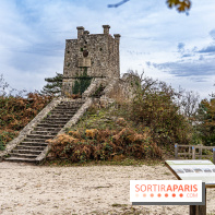 Randonnée à Fontainebleau : le sentier sur les pas de Denecourt jusqu’à la Tour Denecourt -  A7C7603