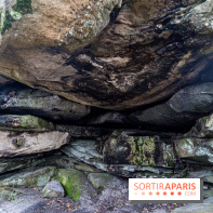 Randonnée à Fontainebleau : le sentier sur les pas de Denecourt jusqu’à la Tour Denecourt -  A7C7616