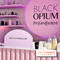 Le Pop-Up Store Yves Saint-Laurent Beauté à Pairs - IMG 5250