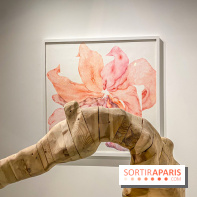 Exposition Belladone de Tatiana Wolska au Drawing Lab - IMG 2353