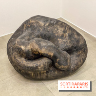 Exposition Belladone de Tatiana Wolska au Drawing Lab - IMG 2356