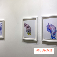 Exposition Belladone de Tatiana Wolska au Drawing Lab - IMG 2360