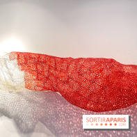 Exposition Belladone de Tatiana Wolska au Drawing Lab - IMG 2386