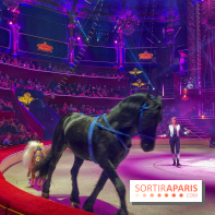 Spectaculaire - Cirque d'hiver