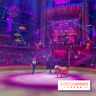 Spectaculaire - Cirque d'hiver