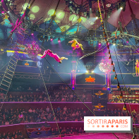 Spectaculaire - Cirque d'hiver - IMG 8554