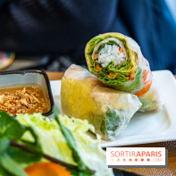 Chez An - Au coin du Vietnam, restaurant vietnamien du 14e à Paris -  rouleau de printemps