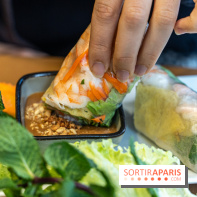 Chez An - Au coin du Vietnam, restaurant vietnamien du 14e à Paris -  rouleau de printemps
