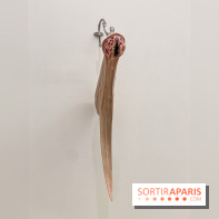 Clear History : l'exposition gratuite d'Oli Epp à la galerie Perrotin - IMG 2709