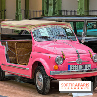 Bonhams I Cars au Grand Palais : exposition de voitures d'exception - IMG 1175 jpg