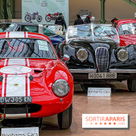 Bonhams I Cars au Grand Palais : exposition de voitures d'exception