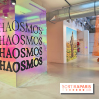 Chaosmos : une expo gratuite qui interroge notre place dans l'univers au Maif Social Club - photos