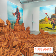 Chaosmos : une expo gratuite qui interroge notre place dans l'univers au Maif Social Club - photos - fotor 1738750043420