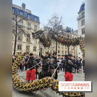 Défilé du Nouvel An Lunaire-Chinois Faubourg Saint-Honoré  - IMG20250205131127