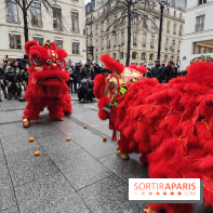 Défilé du Nouvel An Lunaire-Chinois Faubourg Saint-Honoré  - IMG20250205130438