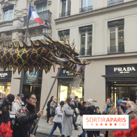 Défilé du Nouvel An Lunaire-Chinois Faubourg Saint-Honoré  - IMG20250205125557