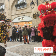Défilé du Nouvel An Lunaire-Chinois Faubourg Saint-Honoré  - IMG20250205124849