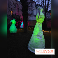 Exposition Silva Lumina au Centre Culturel Irlandais