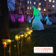 Exposition Silva Lumina au Centre Culturel Irlandais
