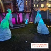 Exposition Silva Lumina au Centre Culturel Irlandais