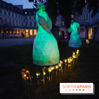 Exposition Silva Lumina au Centre Culturel Irlandais