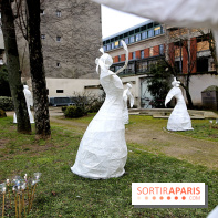 Exposition Silva Lumina au Centre Culturel Irlandais  - Silva Lumina 1