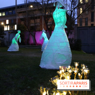 Exposition Silva Lumina au Centre Culturel Irlandais  - Silva Lumina 4