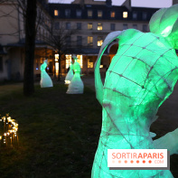 Exposition Silva Lumina au Centre Culturel Irlandais  - Silva Lumina 5 fotor 202502069171