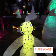Exposition Silva Lumina au Centre Culturel Irlandais  - Silva Lumina 7