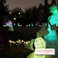 Exposition Silva Lumina au Centre Culturel Irlandais  - Silva Lumina 8