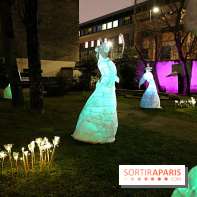 Exposition Silva Lumina au Centre Culturel Irlandais  - Silva Lumina 10
