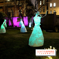 Exposition Silva Lumina au Centre Culturel Irlandais  - Silva Lumina 11