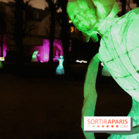 Exposition Silva Lumina au Centre Culturel Irlandais  - Silva Lumina 12
