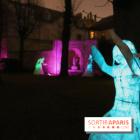 Exposition Silva Lumina au Centre Culturel Irlandais  - Silva Lumina 13