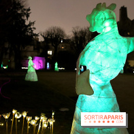 Exposition Silva Lumina au Centre Culturel Irlandais  - Silva Lumina 14