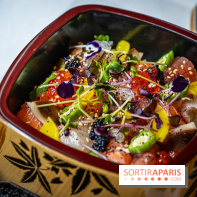 Hokusai - restaurant japonais fusion - Paris 16e - les photos  - chirashi