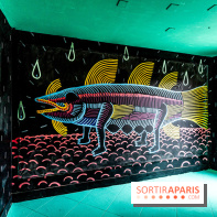 Colors Festival 2025 à Champigny spécial Amérique Latine