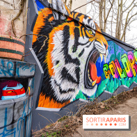 Colors Festival 2025 à Champigny spécial Amérique Latine -  A7C1286