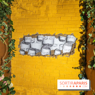 Colors Festival 2025 à Champigny spécial Amérique Latine -  A7C1275