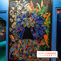 Colors Festival 2025 à Champigny spécial Amérique Latine -  A7C1222