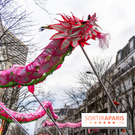 Défilé du Nouvel an Lunaire - Chinois 2025 Paris 13e - les photos